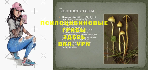 mdpv Вязники