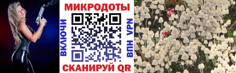Купить закладки  Кяхта  Псилоцибиновые грибы мицелий 